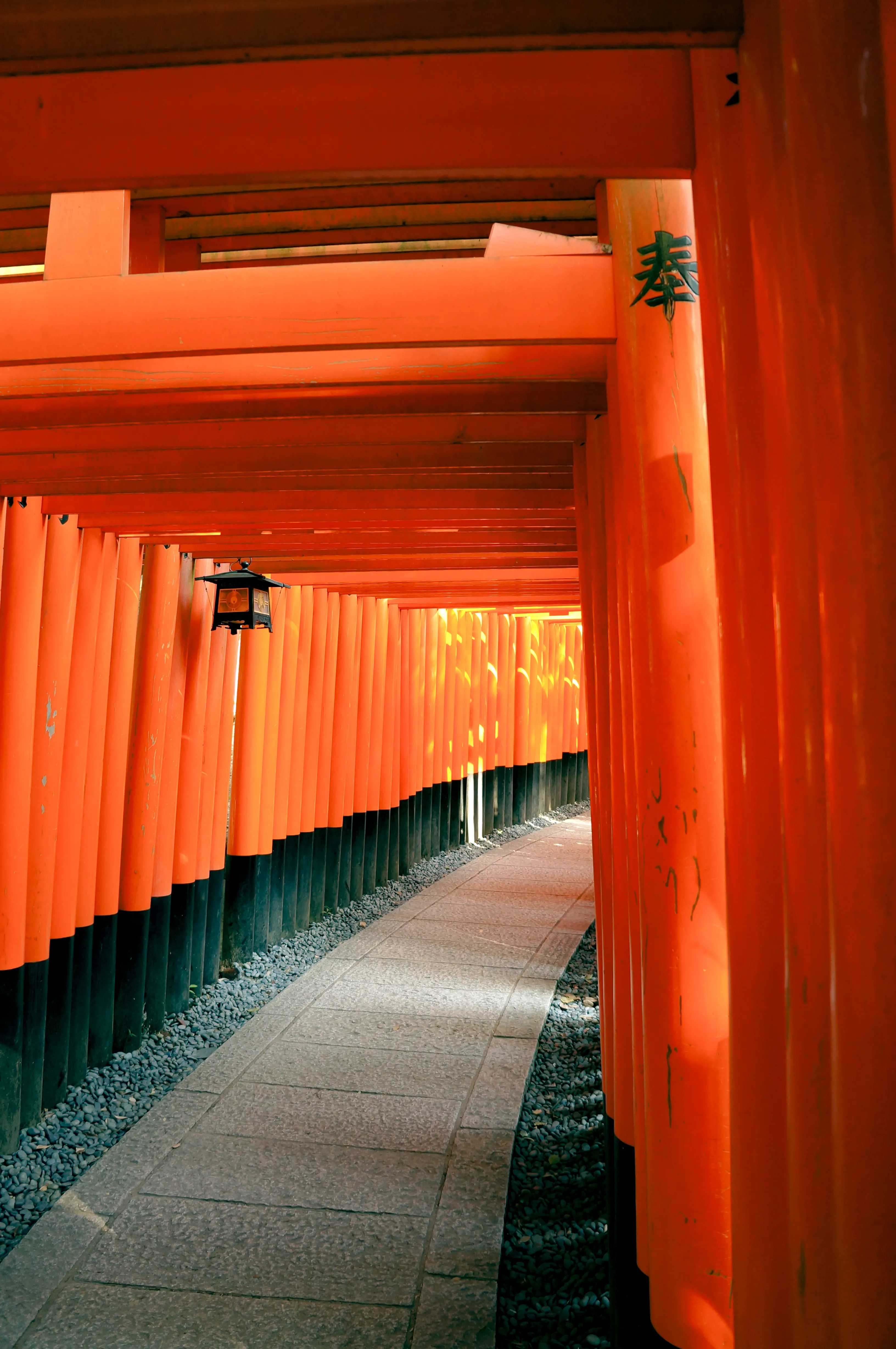 たくさんの鳥居がある風景